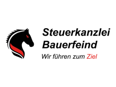 SEO in Darmstadt Kundenstimme Steuerkanzlei
